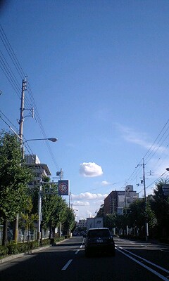 080831_1602~0001.jpg