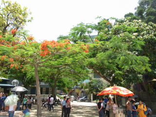 R0012531.jpg